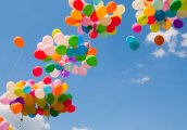 Потърси Цветовете на лятото - 2016 градски детски лагери с ЦМКСБ