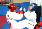 Пет бойни спорта на ABC Fight 9