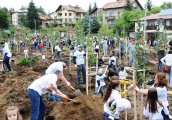 Природен парк Витоша става дом на втората гора на Моят зелен град тази събота