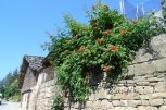 Потърси Българското наследство - пролетно приключение с Централен младежки клуб на скаутите в България ЦМКСБ - снимка 3 - зелени училища - София