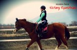 Конна база Victory Equestrian - снимка 5 - конни бази