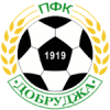 ФК Добруджа