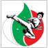 Спортен клуб ФОРС