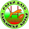 Ръгби клуб Балкански котки