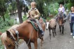 Конна База Нова Звезда - снимка 3 - езда - София