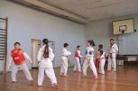 Клуб по Източни Бойни изкуства КОНДОР 2000 - снимка 2 - бойни изкуства - Божурище