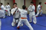 Спортен клуб Хелиос - снимка 3 - бойни изкуства - Русе