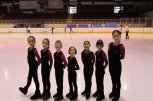 Cпортен Клуб по Фигурно Пързаляне Айс Блейд - снимка 1 - фигурно пързаляне - София