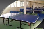 Спортен комплекс Green Sport - снимка 3 - зали за тенис на маса - София