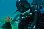Diving BG - снимка 1 - гмуркане - София