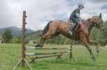 Клуб по конен спорт Русалиите - снимка 3 - езда - Разлог
