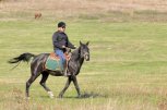 Клуб по езда Болкан екстрийм хорс райдинг клуб - снимка 4 - езда - Габрово