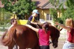 Национално сдружение по терапевтична езда и хиппотерапия Устрем - снимка 2 - Спортни клубове - София