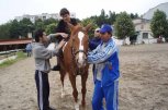 Национално сдружение по терапевтична езда и хиппотерапия Устрем - снимка 1 - Спортни клубове - София