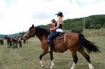 Клуб по конен спорт ТАРСАС - снимка 3 - Спортни клубове - София