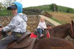 Клуб по конен спорт ТАРСАС - снимка 2 - Спортни клубове - София
