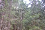 Лагер Легенда за Родопите от Outward Bound - снимка 2 - зимни - София