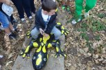 За мечките совите и водното конче - екскурзия - снимка 2 - летни - София