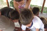Програма Пиратска история от сдружение Планини и хора - снимка 4 - летни - София