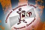 Волейболен клуб Красимир Димитров - снимка 2 - волейбол - София