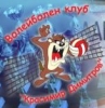 Волейболен клуб Красимир Димитров