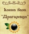 Въжена градина Паяжината