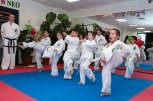 Спортен Клуб Нео - снимка 1 - фитнес центрове - София