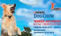 ЖИВЕЙ АКТИВНО отличава героичните постъпки на кучетата на 28 септември в Южния парк