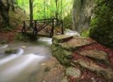 Усети прегръдката на планината с Централен младежки клуб на скаутите в България