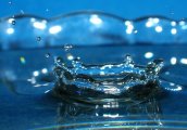 Седмица на Водата в музея Земята и хората