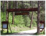 Неделна детска програма с Централен младежки клуб на скаутите в България