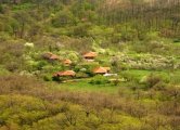Неделна детска програма с Централен младежки клуб на скаутите в България