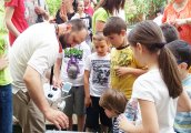 3000 души събра iCreate - детския фестивал за наука изкуство и високи технологии