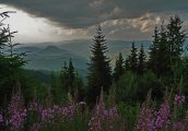 Започна записването и за екскурзионните летувания в Родопите с ЦМКСБ