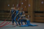Спортен клуб Левски-Триадица - снимка 1