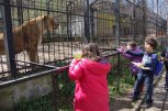 Летни лагери с Арт Клуб Рояна - снимка 20